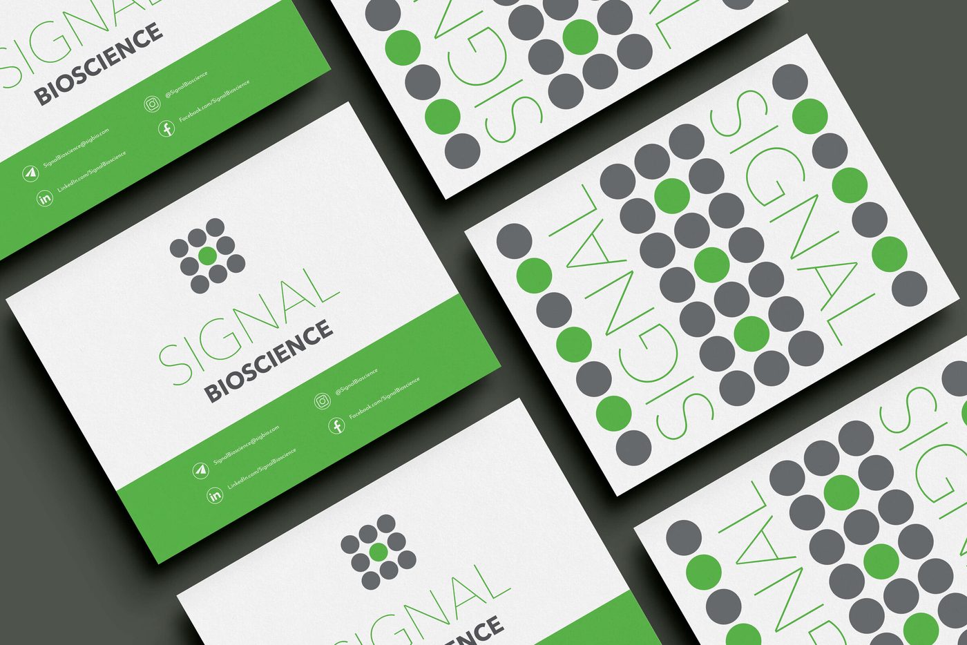 SignalBio brand work