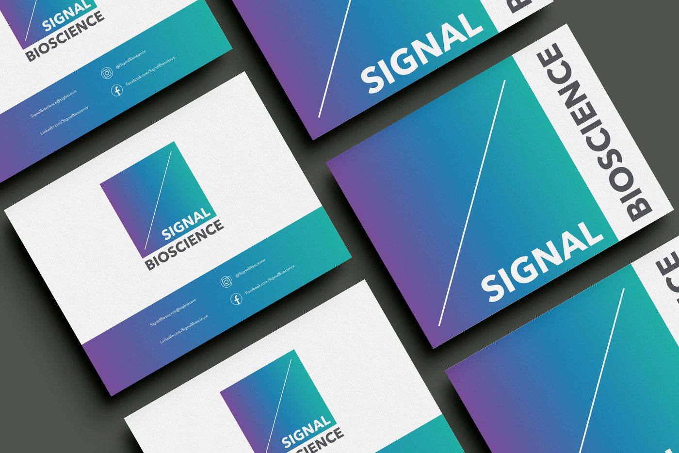 SignalBio brand work