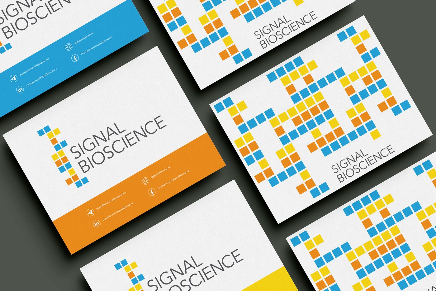 SignalBio brand work